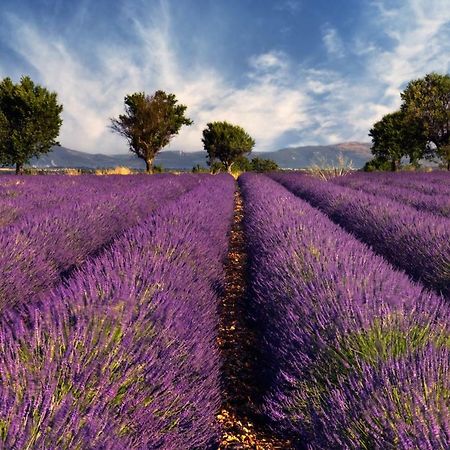 La Lavande Camaret-sur-Aigues エクステリア 写真