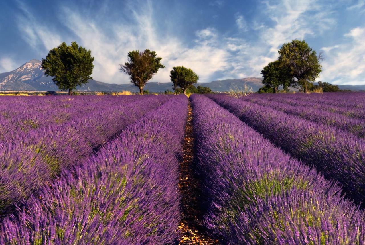 La Lavande Camaret-sur-Aigues エクステリア 写真